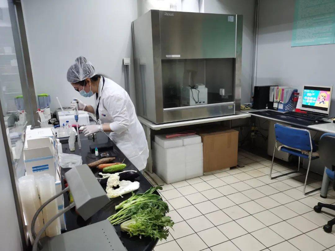 洋浦经济开发区食品检测实验室装修方案